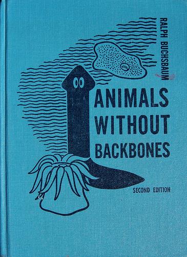 Animals without backbones