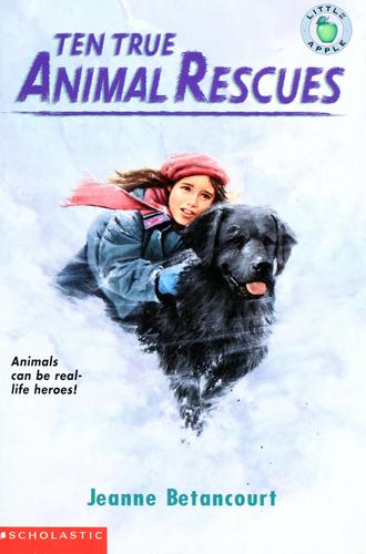 Ten true animal rescues