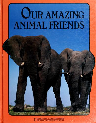 Our amazing animal friends