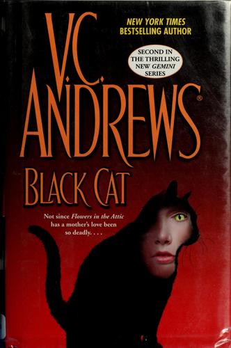 Black cat