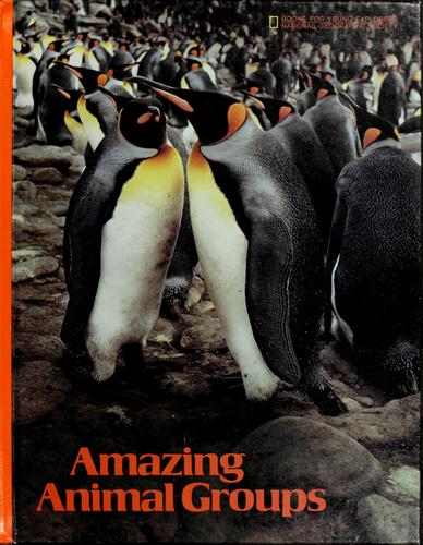 Amazing animal groups
