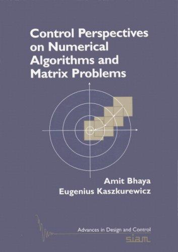 Control perspectives on numerical algorithms and matrix problems