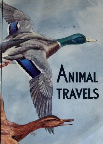 ...Animal travels