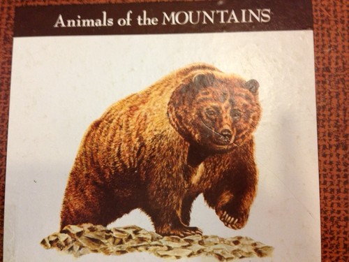 Animals of the Mountains