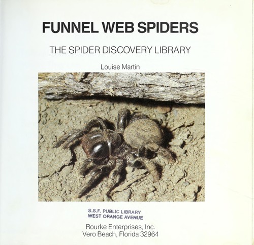 Funnel web spiders