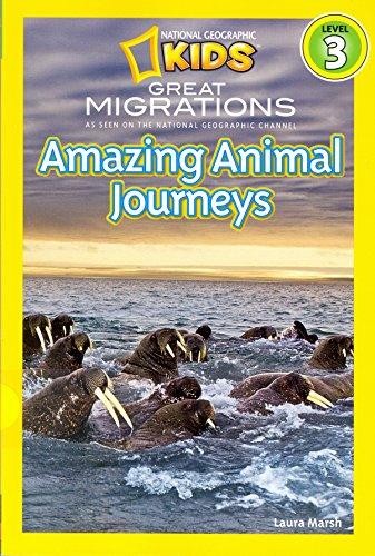 Amazing Animal Journeys