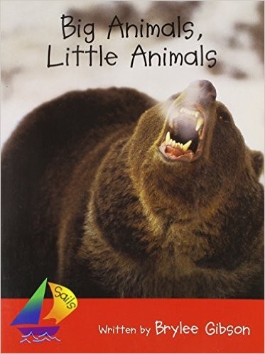 Big Animals, Little Animals