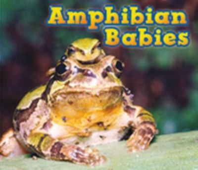 Animal Abilities
            
                Raintree Perspectives Animal Abilities