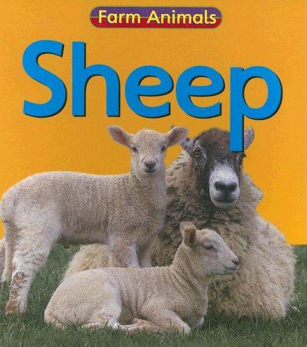 Sheep (Farm Animals)