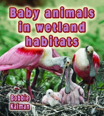 Baby Animals In Wetland Habitats