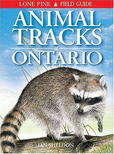 Animal Tracks of Ontario (Animal Tracks Guides)