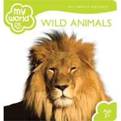 Wild Animals
            
                My World All about Animals