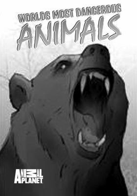 Worlds Most Dangerous Animals
            
                Animal Planet