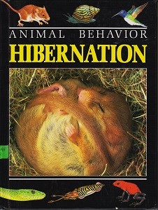 Hibernation