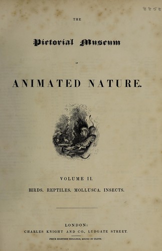 The pictorial museum of animated nature.