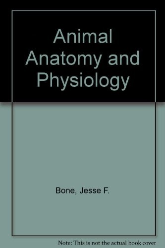 Animal anatomy and physiology