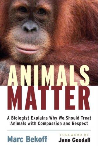Animals matter