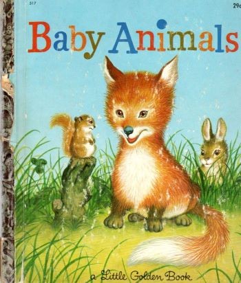 Baby Animals