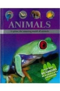 Animals Explore The Amazing World Of Animals