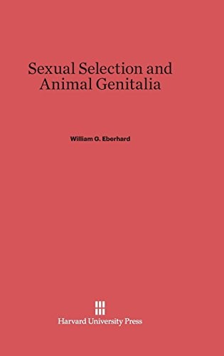 Sexual Selection and Animal Genitalia
