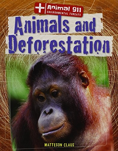 Animals and Deforestation