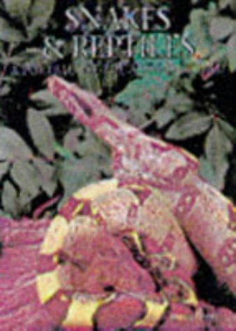 Snakes and Reptiles