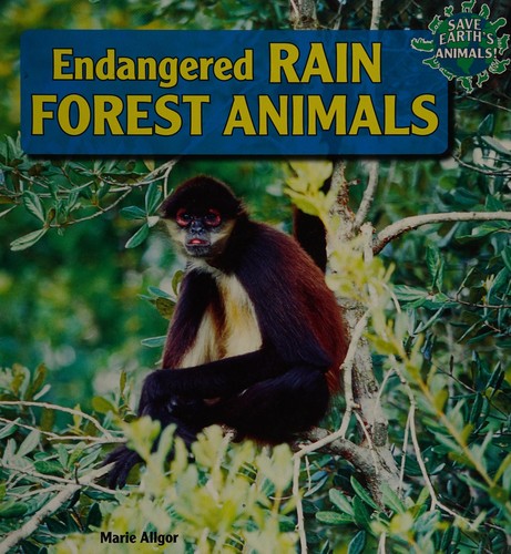 Endangered rain forest animals