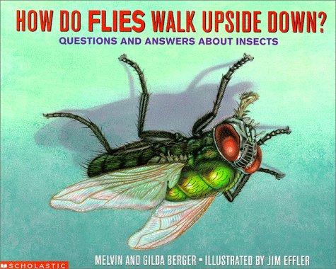 How do flies walk upside down?