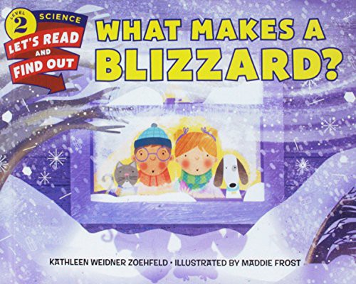 What makes a blizzard?