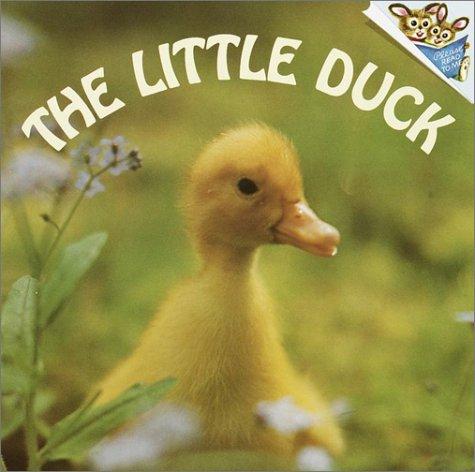 The little duck