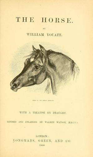 The horse