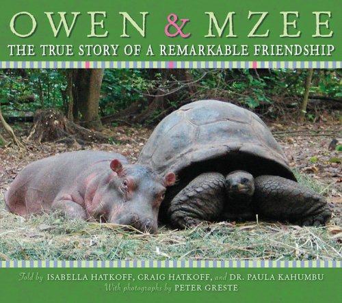 Owen and Mzee